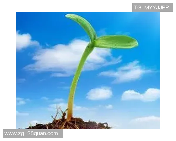 李晓旭的成长之路：从普通学生到职场精英的励志故事