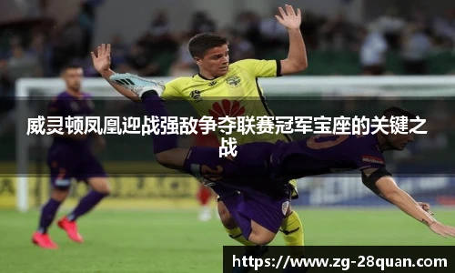 威灵顿凤凰迎战强敌争夺联赛冠军宝座的关键之战
