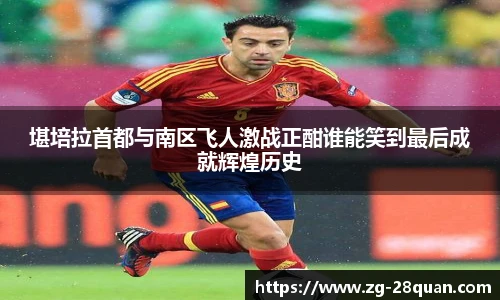 28圈平台