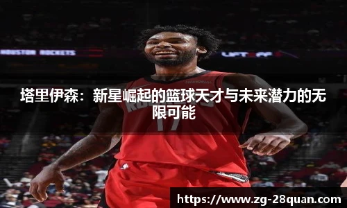 28圈平台