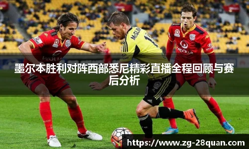 28圈娱乐
