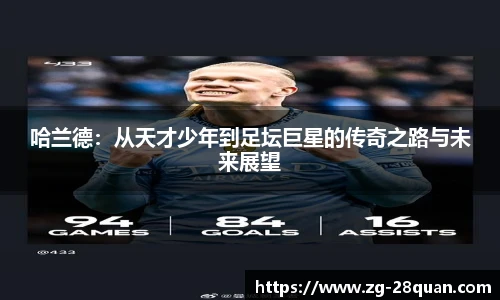 28圈娱乐
