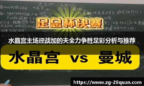 水晶宫主场迎战加的夫全力争胜足彩分析与推荐