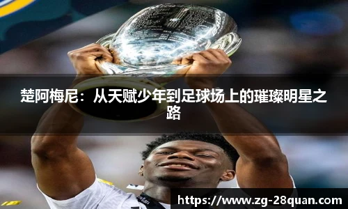 28圈游戏